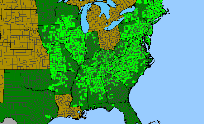 The range of Antennaria plantaginifolia